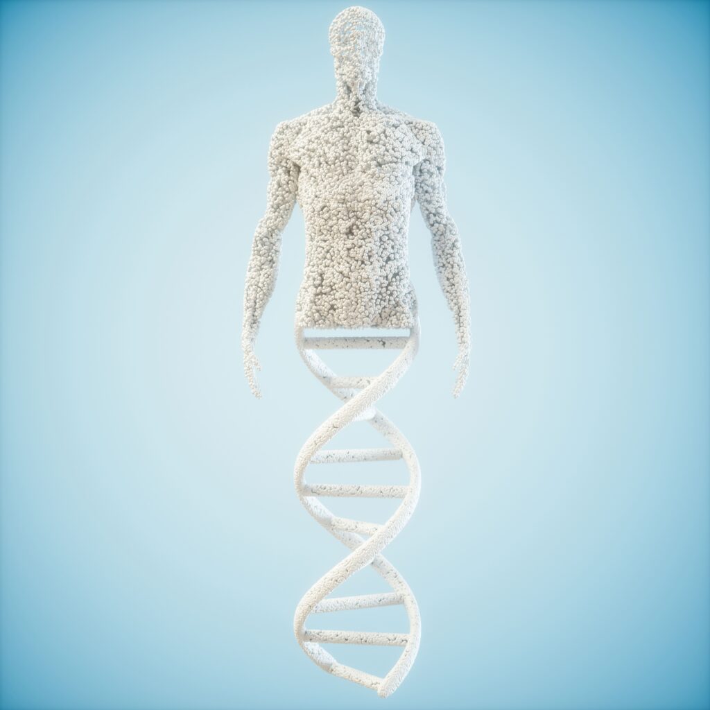 Künstlerische Darstellung einer menschlichen Figur, die aus einer sich windenden DNA-Spirale besteht, symbolisch für die Verbindung von Genetik und Körper, vor einem hellblauen Hintergrund.