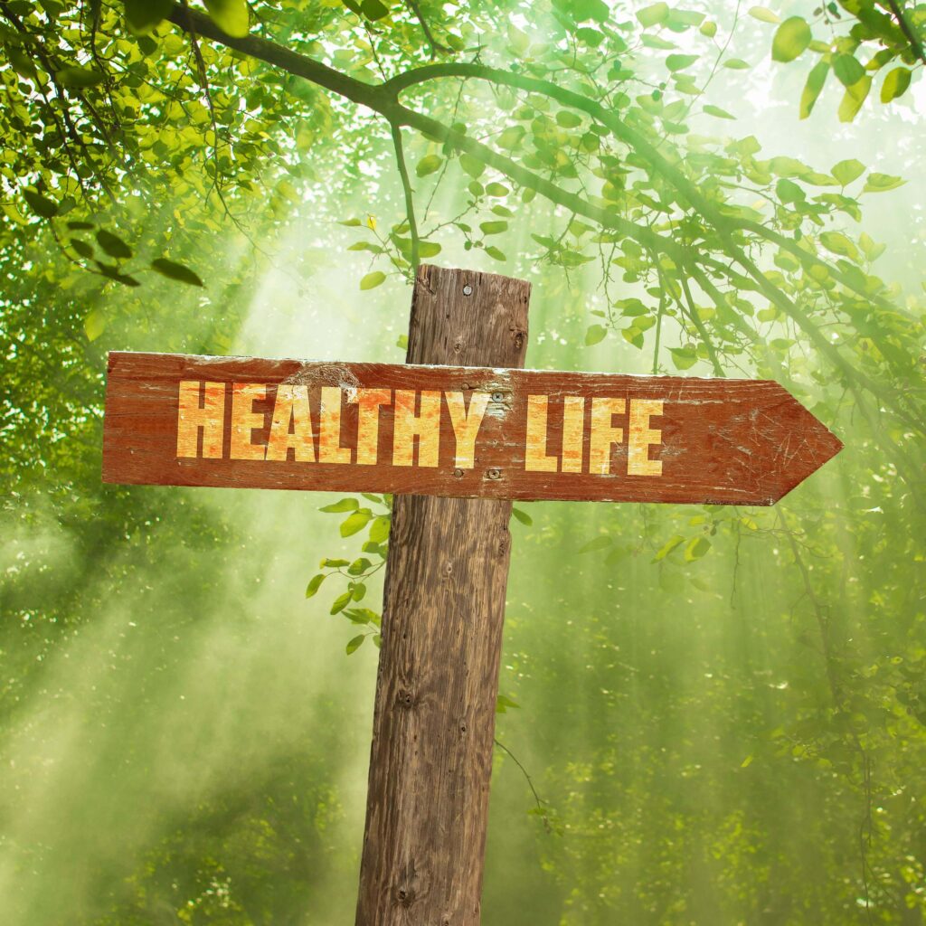 Ein hölzernes Wegweiser-Schild mit der Aufschrift 'Healthy Life' in einem grünen, sonnendurchfluteten Wald, symbolisch für den Weg zu einem gesunden Leben.